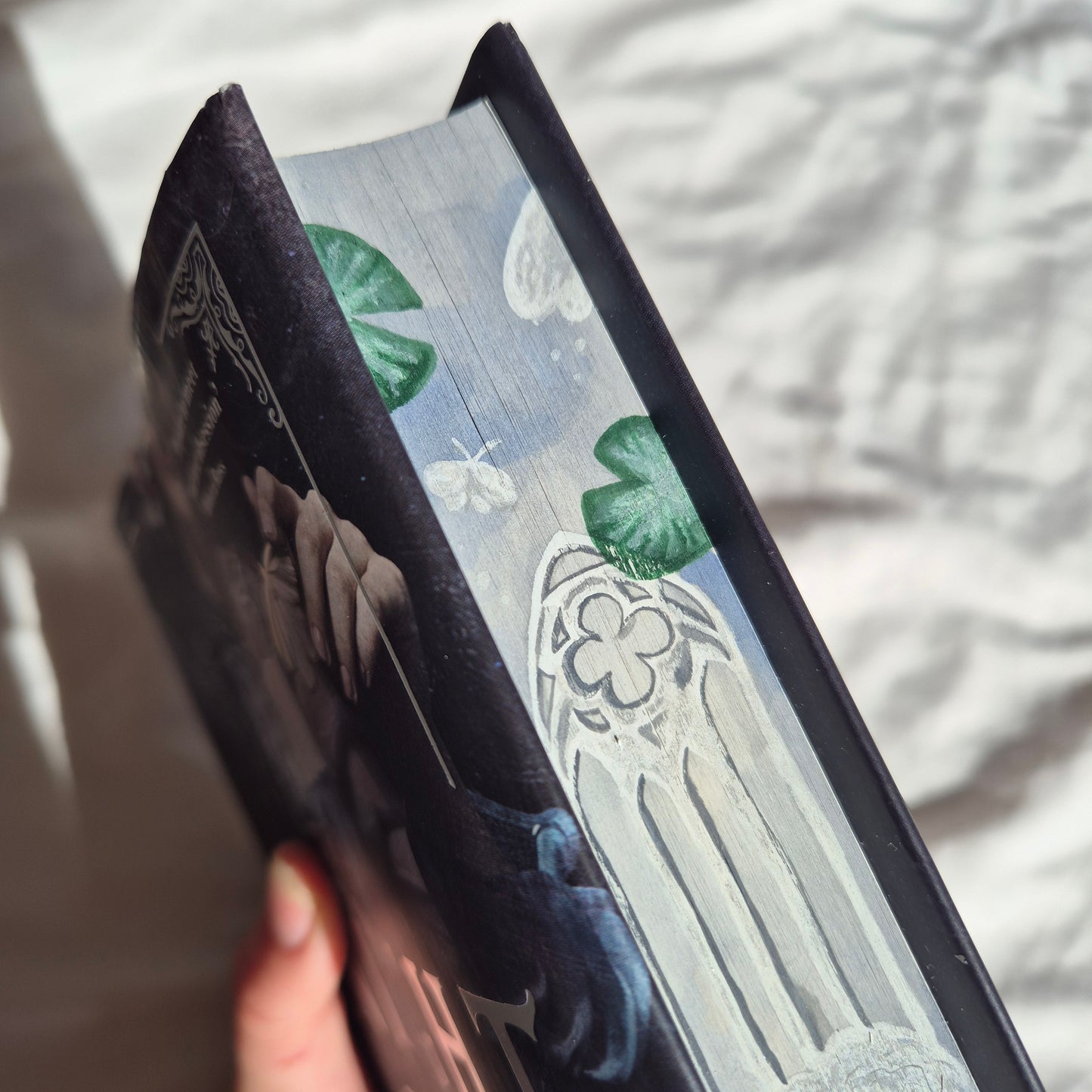 Knight and the Moth - Hardcover with Watercolour edges