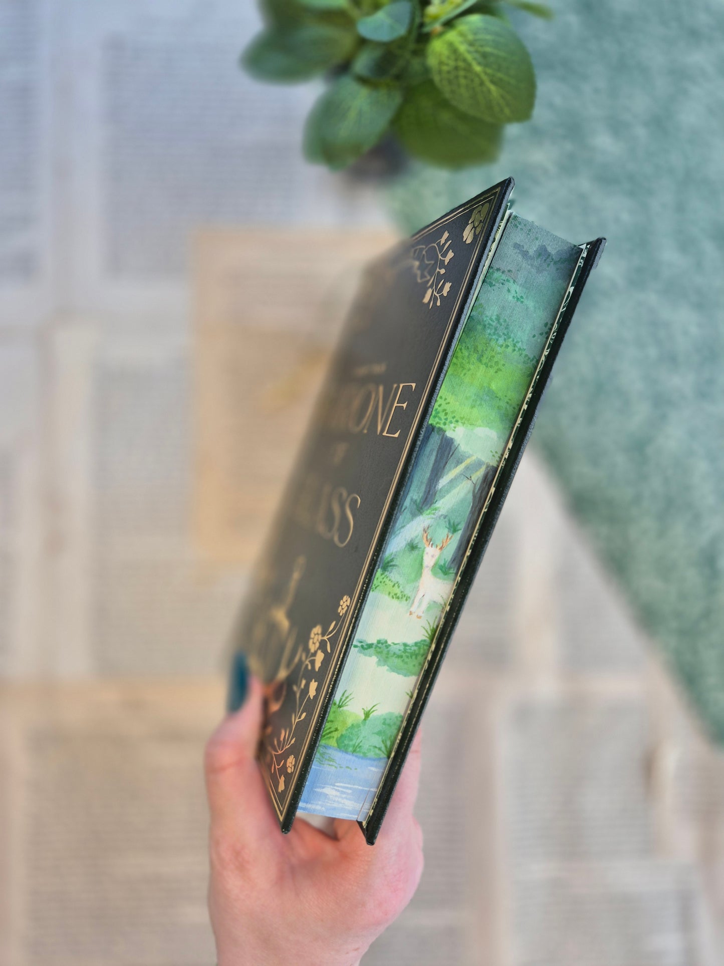 Throne of Glass Leather Rebind with Watercolour Edges