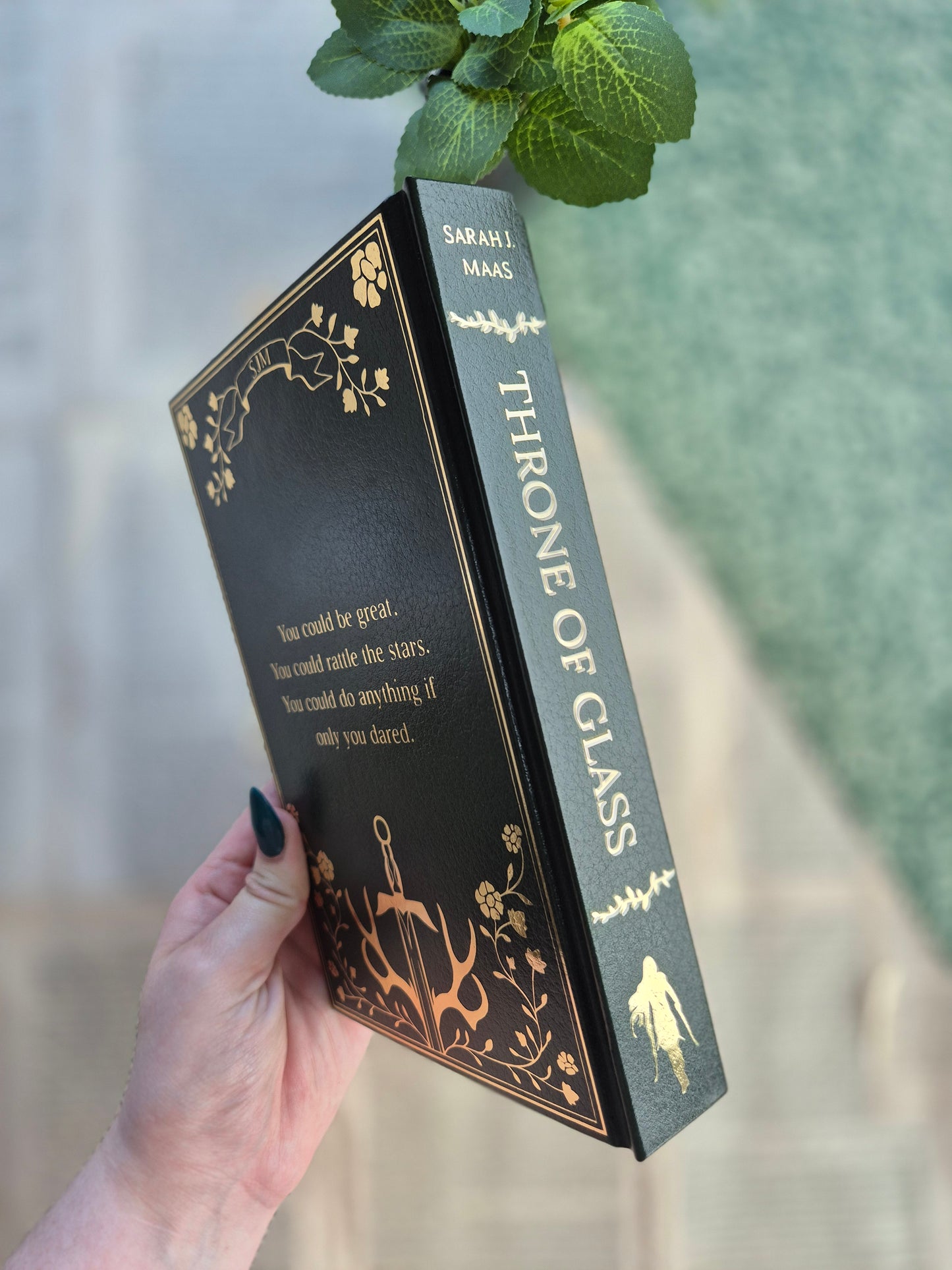Throne of Glass Leather Rebind with Watercolour Edges