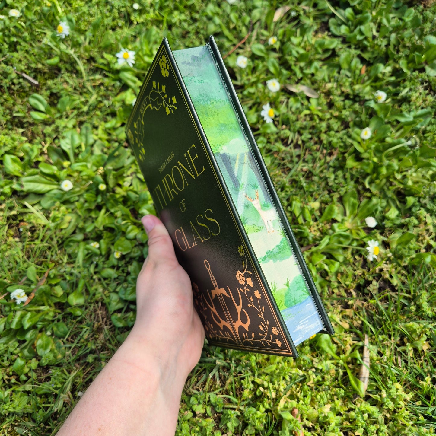Throne of Glass Leather Rebind with Watercolour Edges