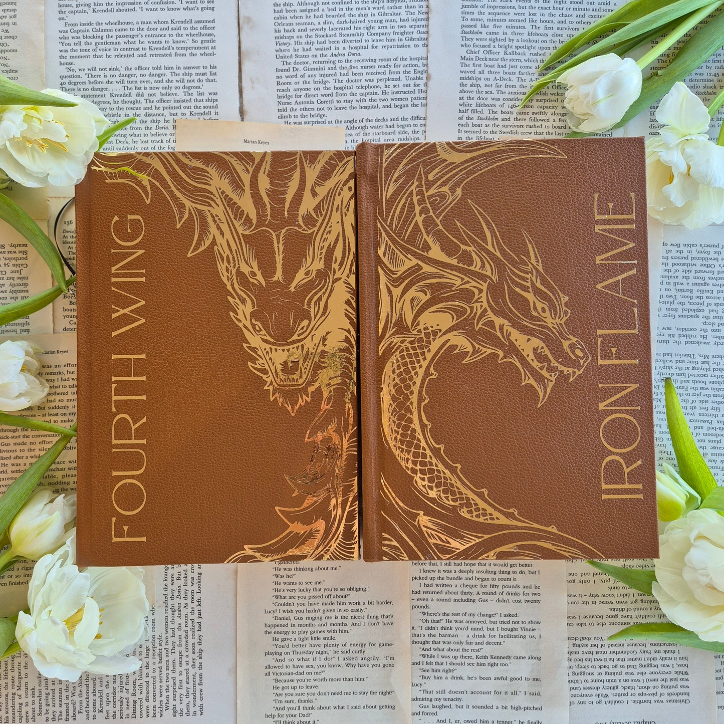 Custom Fourth Wing Painted Edges Set