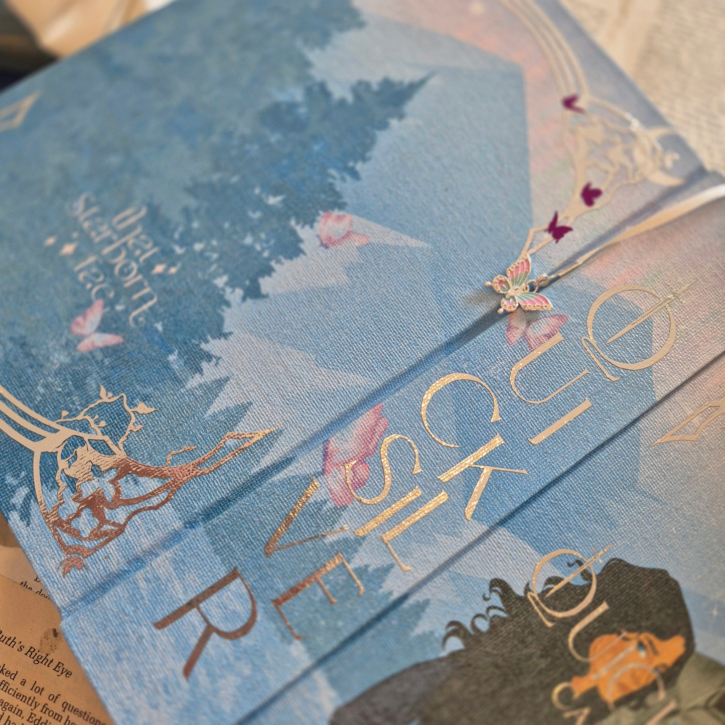Quicksilver Rebind Special Edition - Hand Painted Edges, Custom Endpapers & Canvas Cover