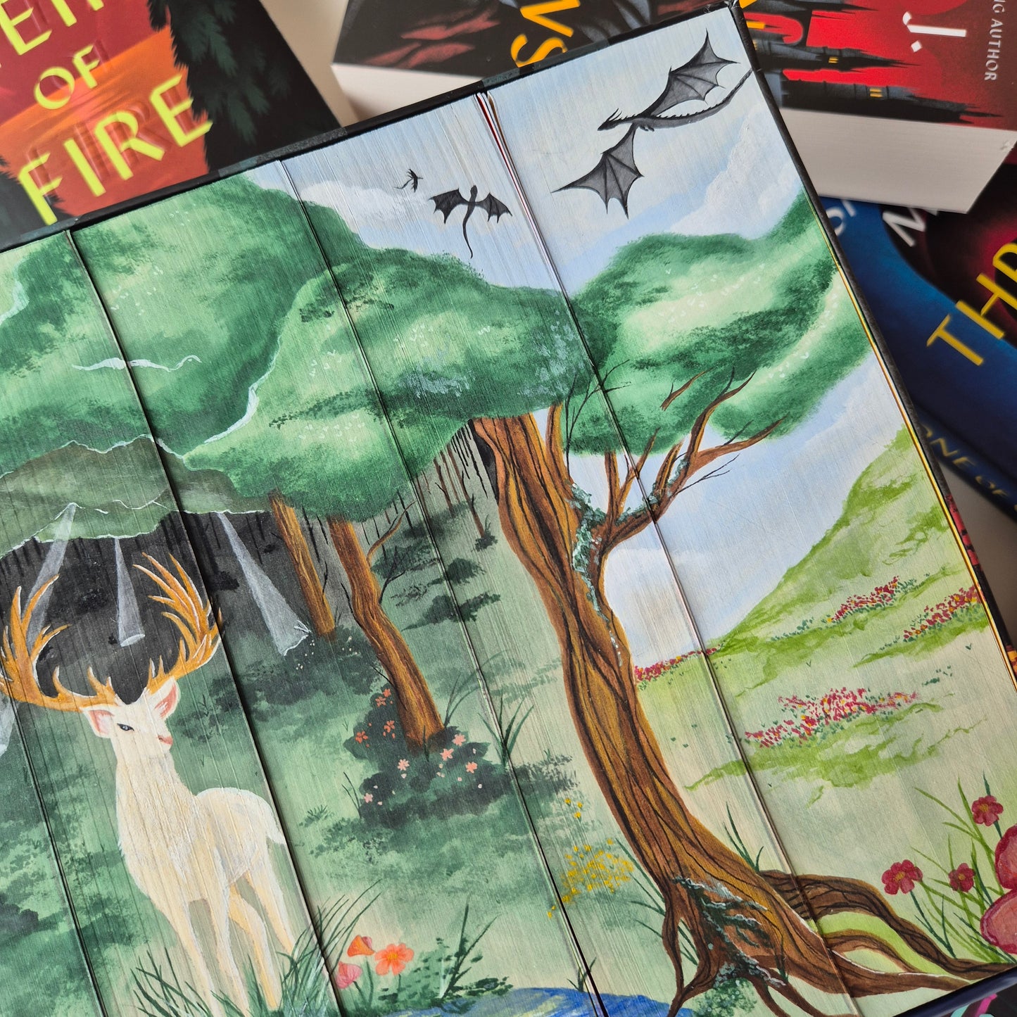 Throne Of Glass Set - Full Watercolour Edges