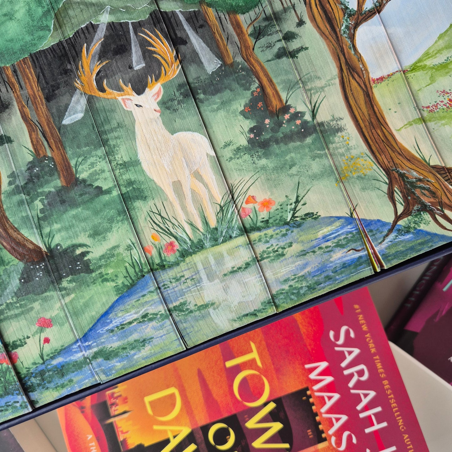 Throne Of Glass Set - Full Watercolour Edges