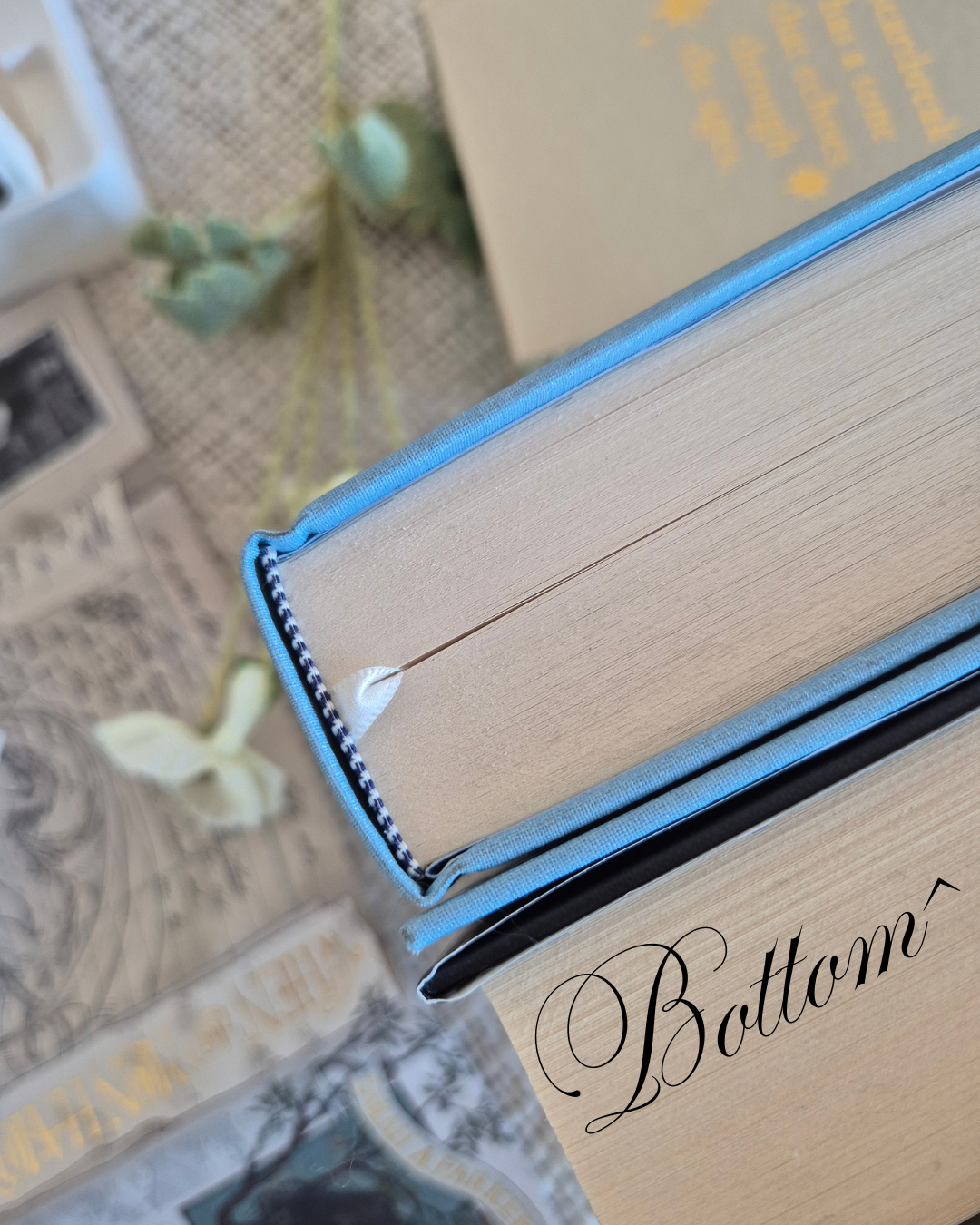 Officially Licensed - When The Moon Hatched - Rebind With Painted Edges