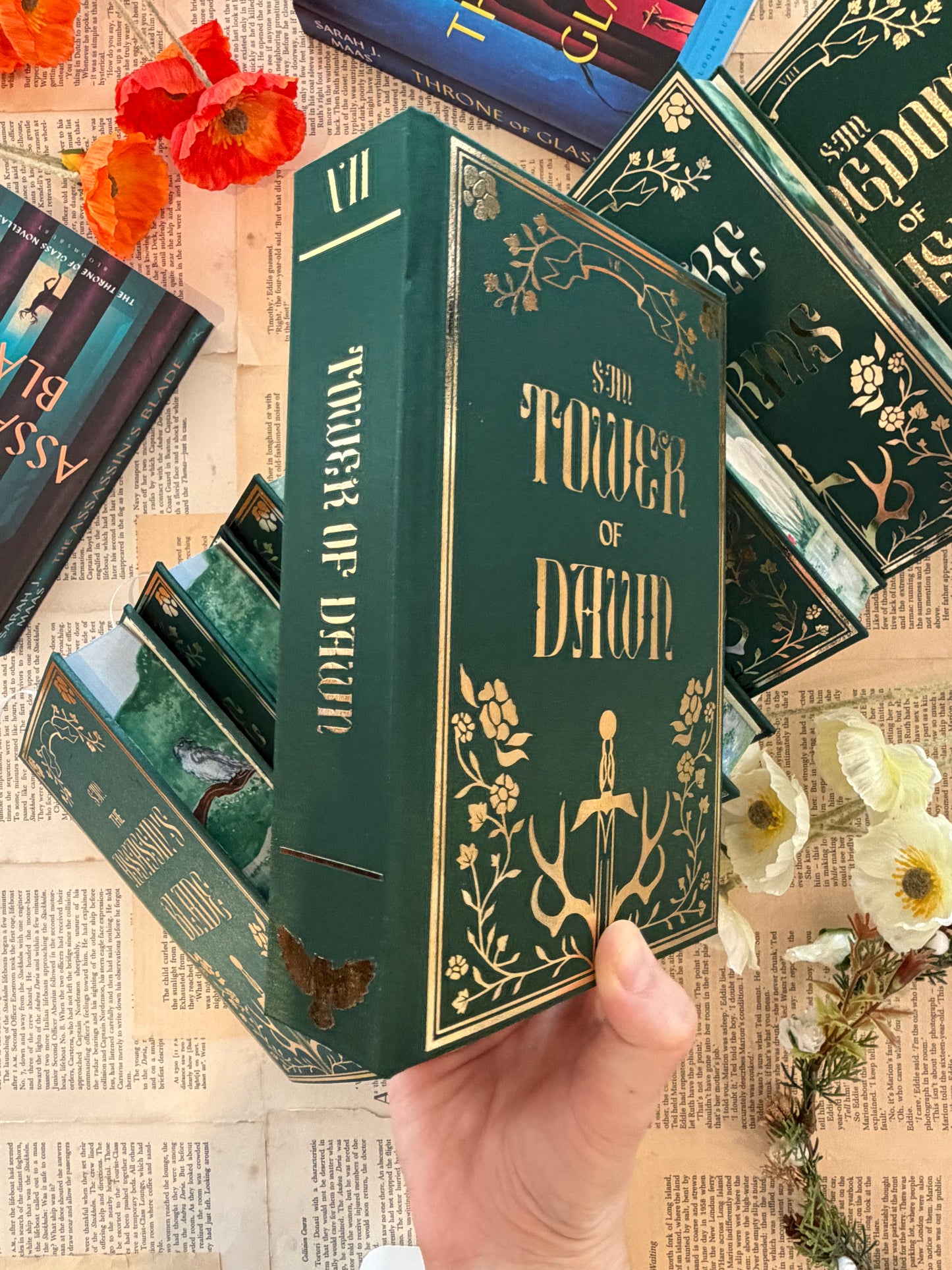 Throne Of Glass Set - Full Watercolour Edges