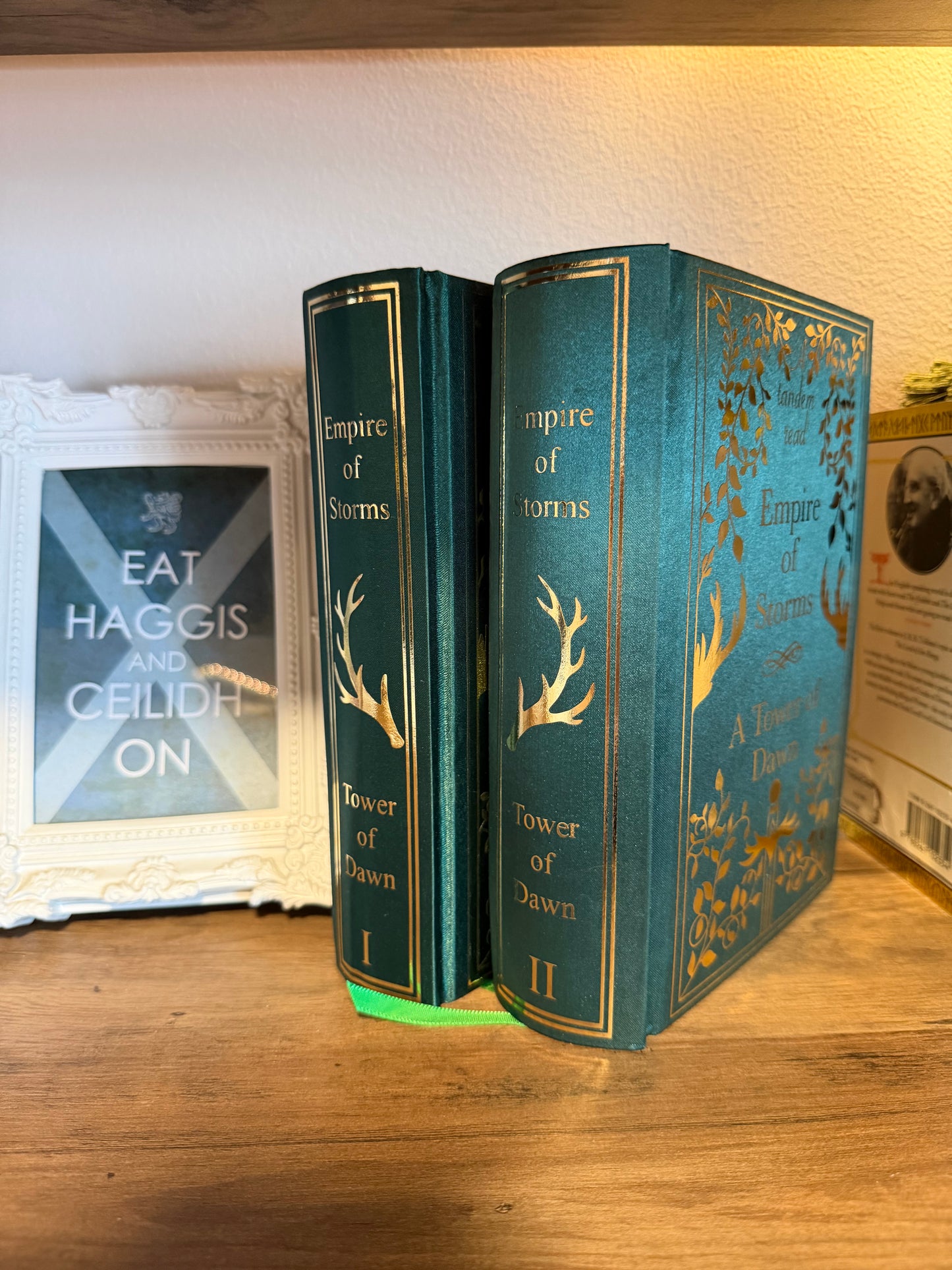 One Time Only Rounded Spine Tandem - Ready To Ship