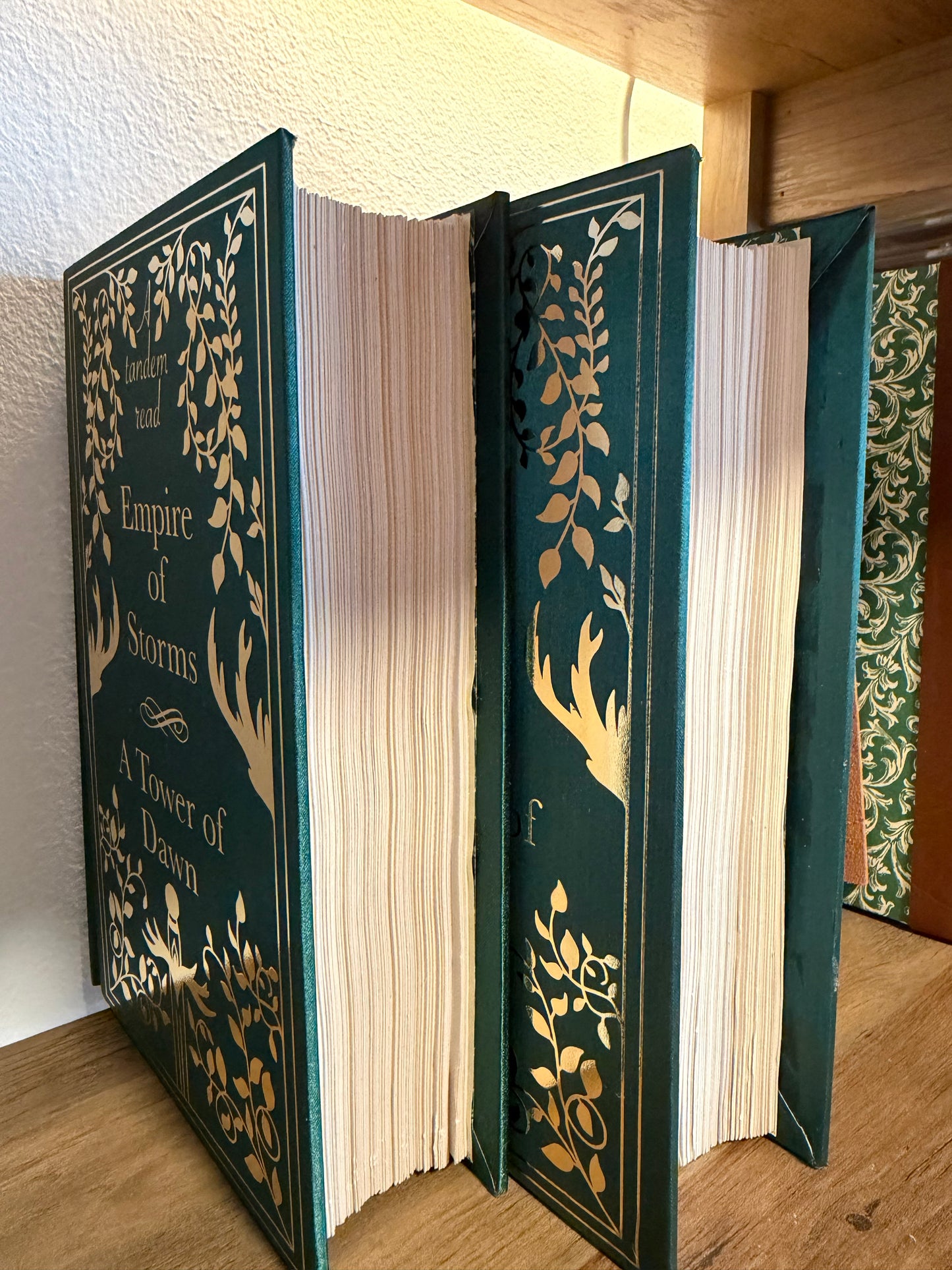 One Time Only Rounded Spine Tandem - Ready To Ship